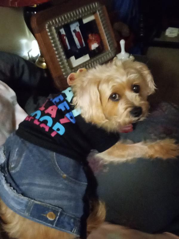 My Ginger