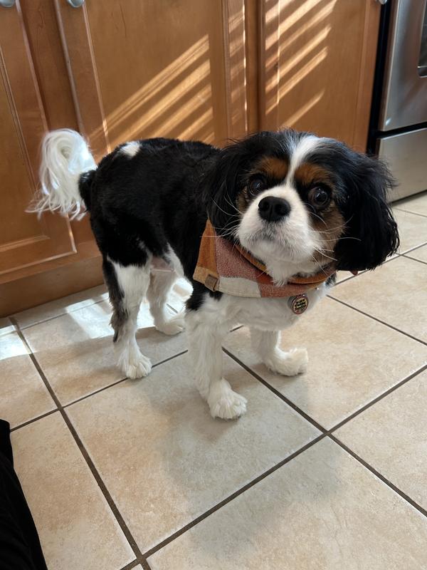 She’s looks so good!!!