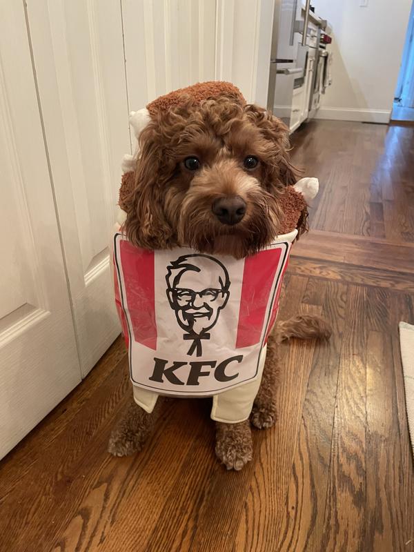 I personalized the costume (KFC)
