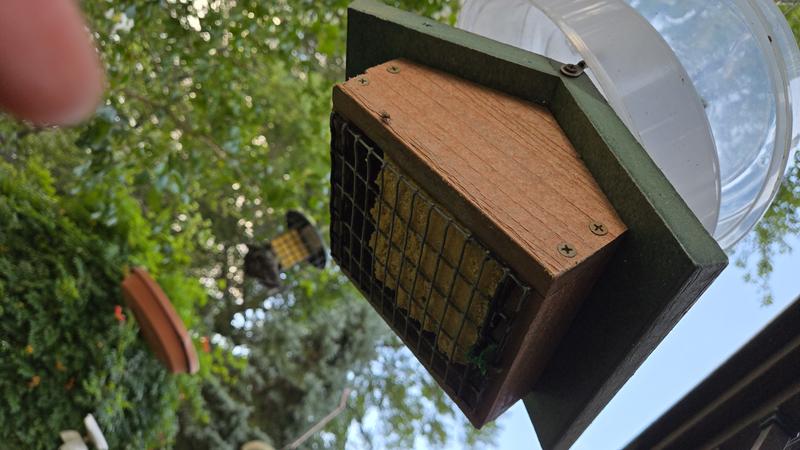 house suet feeder