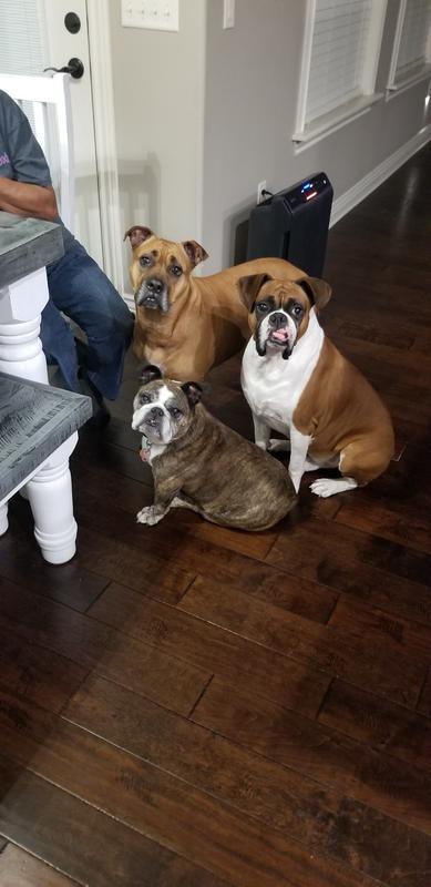 Martha standing with family