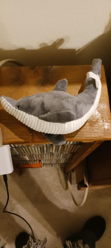 She always has it in her mouth and runs when I try to show her with it…..lol