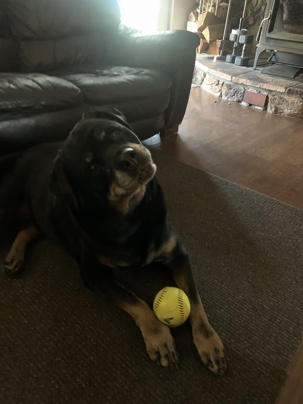 Hates to get her ears clean but they sure are smelling pretty and very clean when done ❤️