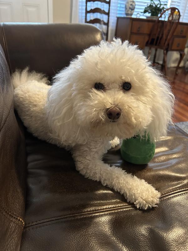 Our Healthy and Happy Girl