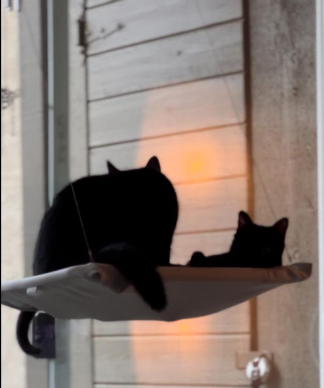 Archer and Sophia sharing the view