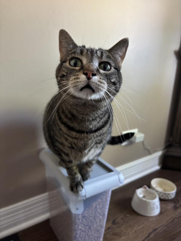 Mom! Can we go out??