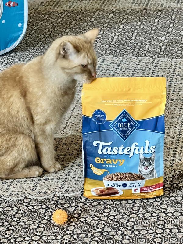 Cat can eat the food wet or dry