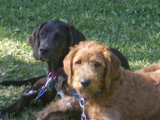 Ms Lilly Bean (Black Girl) & Earnest T Bass (Red Boy)