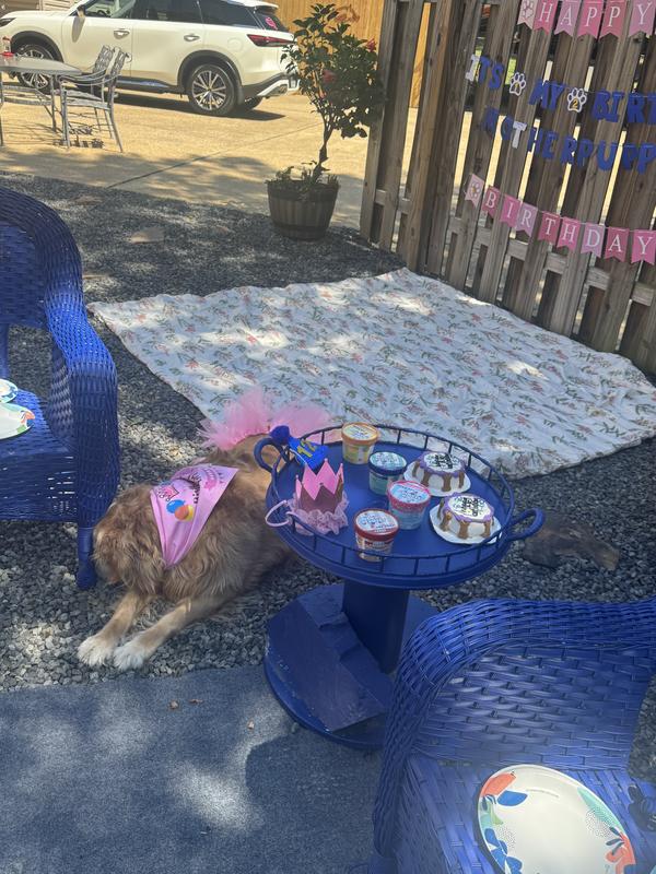 Maggie May turned 10 🩷