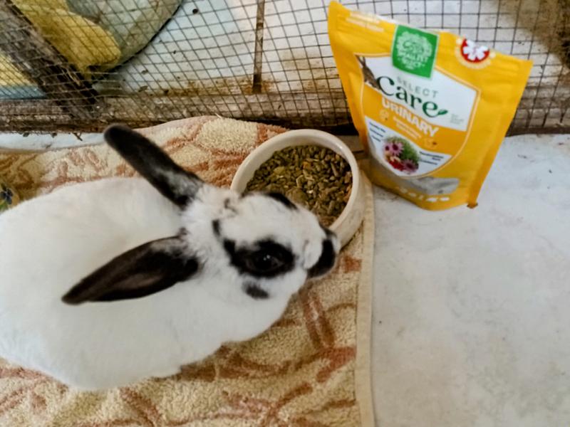 "mom. I said I don't want this in my bowl