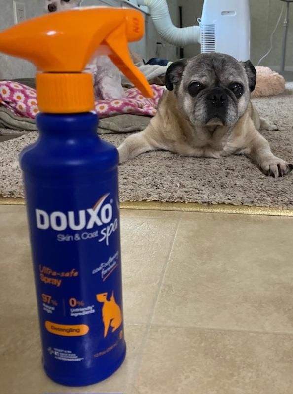 Moses after his SPA treatment