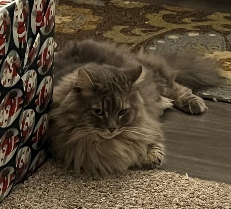 Sebastian