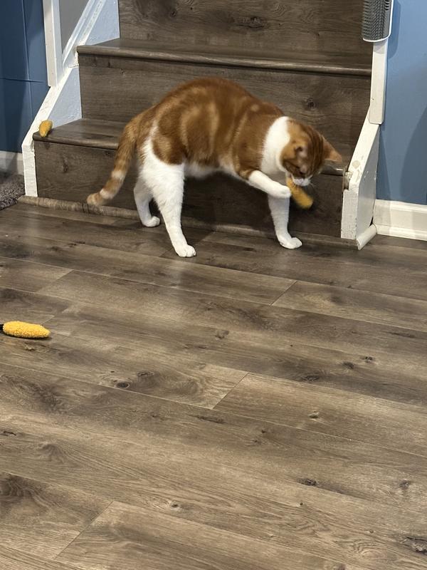 Lewis loving the toy!