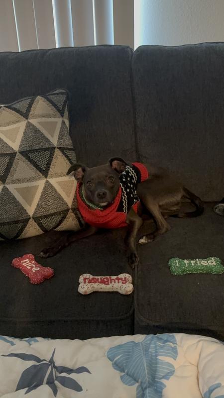 A little bit of all three in one