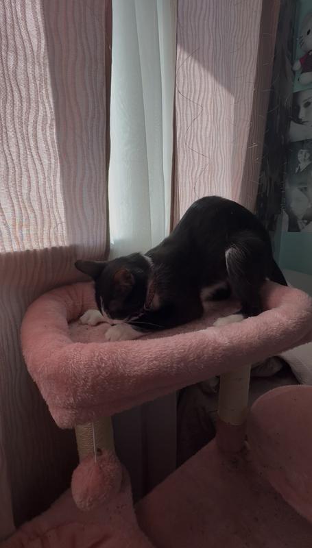This is her scratching it lol.