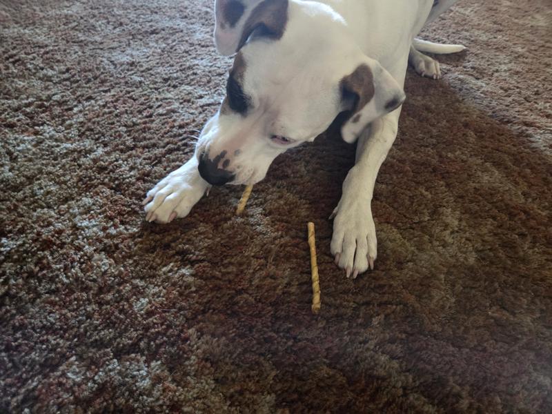 Seems to be enjoying it.