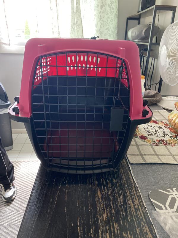 FRISCO Two Door Top Load Plastic Dog & Cat Kennel, Pink, 19in