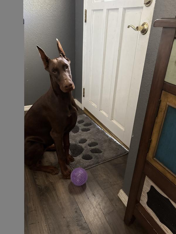 Coco