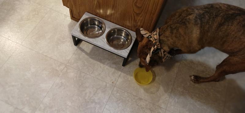 45 seconds later... GONE!