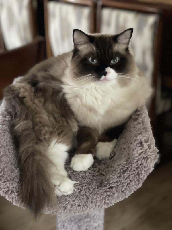 One of my babies