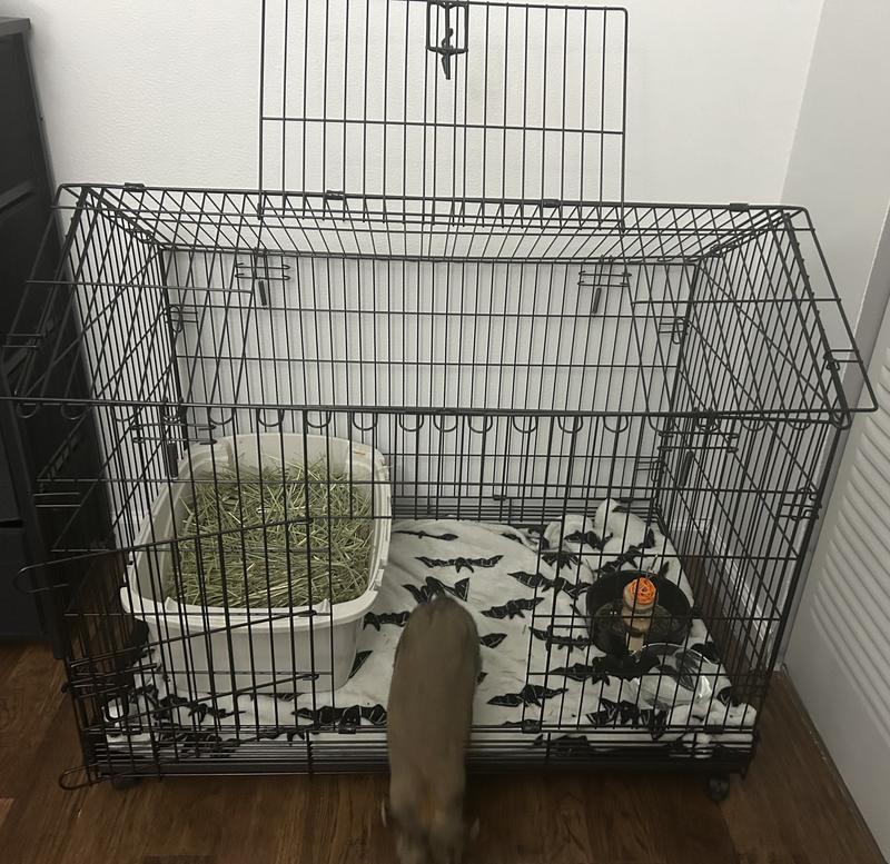 FRISCO House Shaped Small Pet Wire Cage, 36in