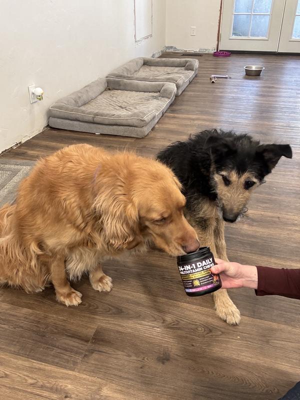 My dogs LOVE this product. They think it's a treat but they're getting all the best ingredients.