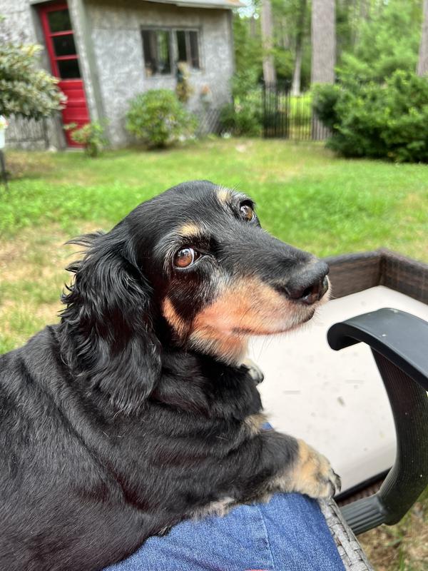 Hey Mom, is it supper time yet?