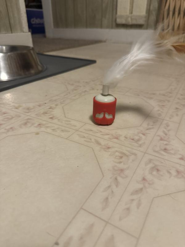 Before turning it ‘on’.