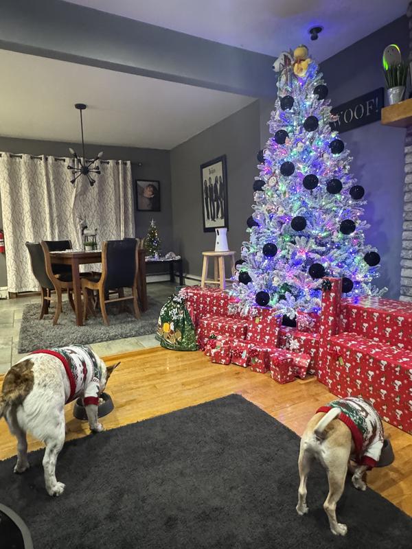 They are In love with this food :)