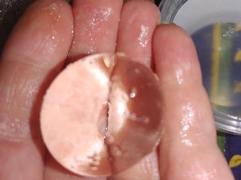 A close-up photo of what the gel ball looks like outside the container.