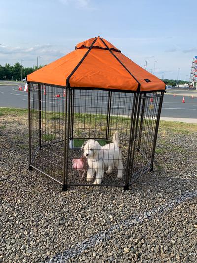 Advantek original pet gazebo outdoor hot sale dog kennel with reversible cover