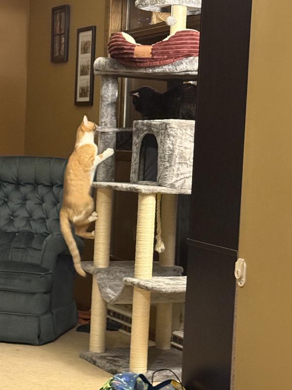 Not even a slight wiggle.