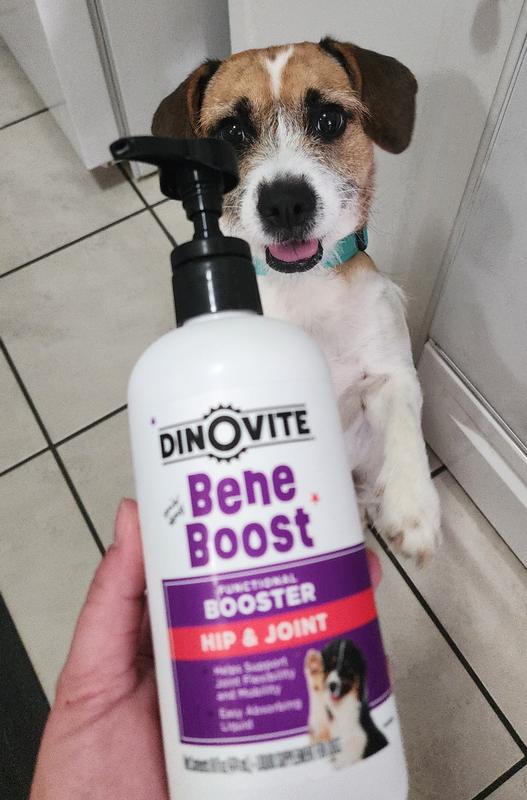 Whiskey is excited for dinner!