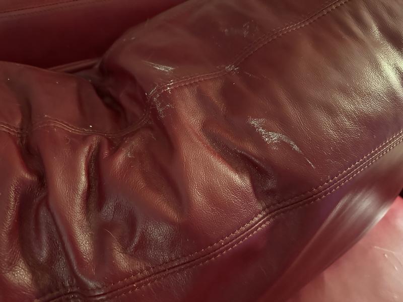 Litter on the sofa