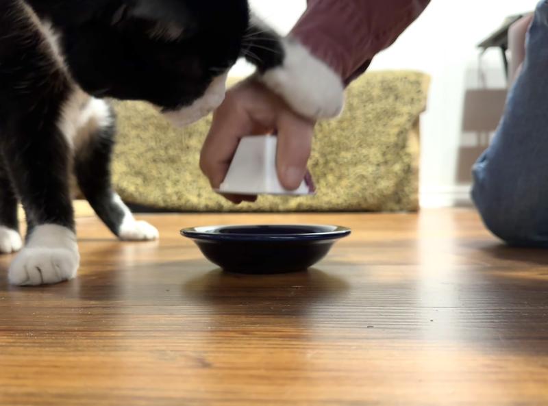 Rufus in a hurry for his Gems to be plated