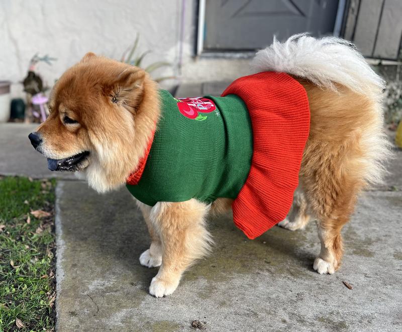My Zena looks adorable in her new dress