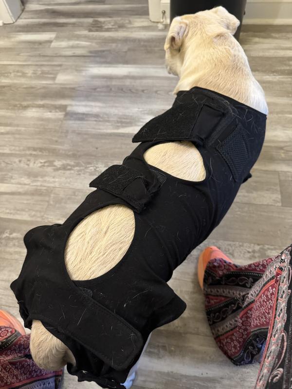 Calm Paws Calming Recovery Dog Vest