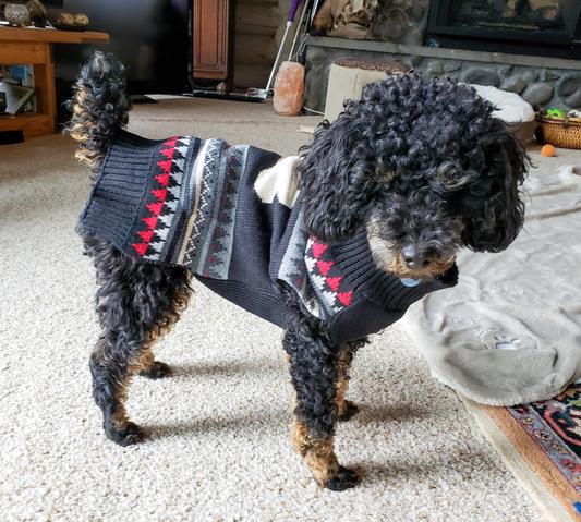 WAGATUDE Black Bone Fair Isle Dog Sweater, Medium - Chewy.com