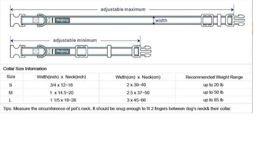 Blueberry Pet Paisley Print Dog Collar