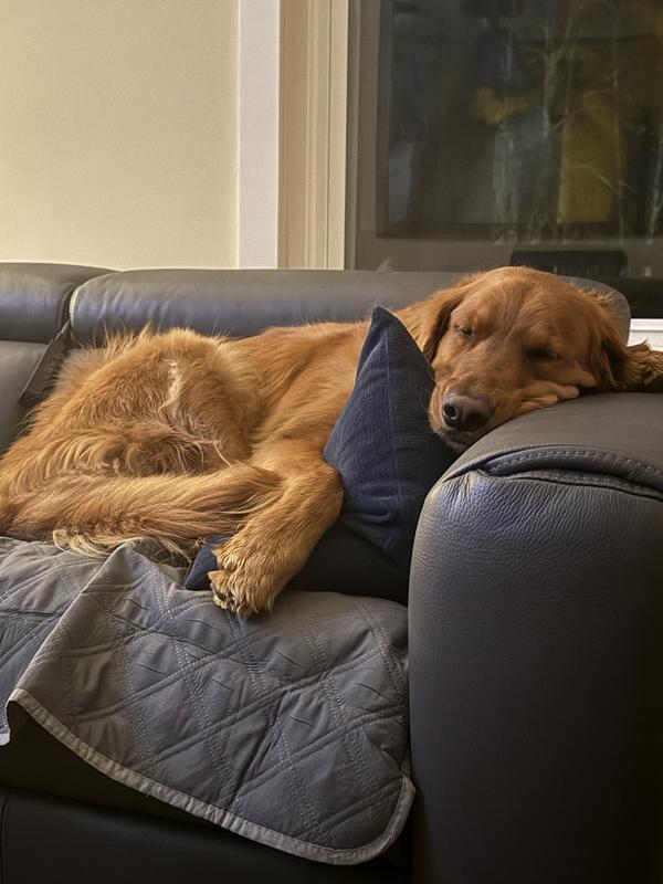 Relaxed and not itchy!!!