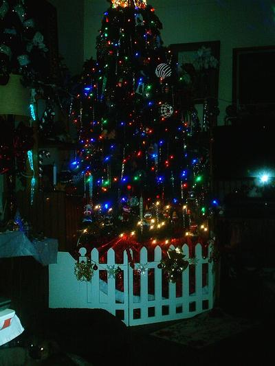 Tibbie protected Christmas Tree
