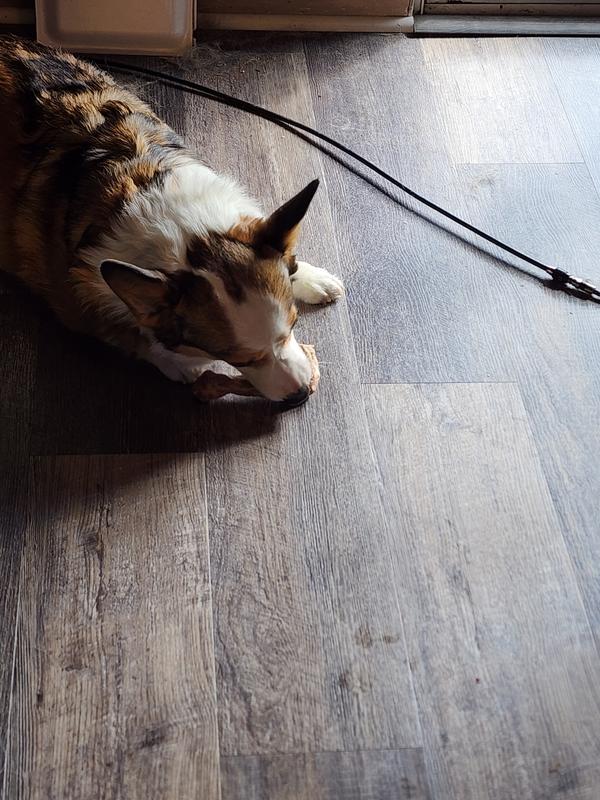 Hoshi made short work of hers