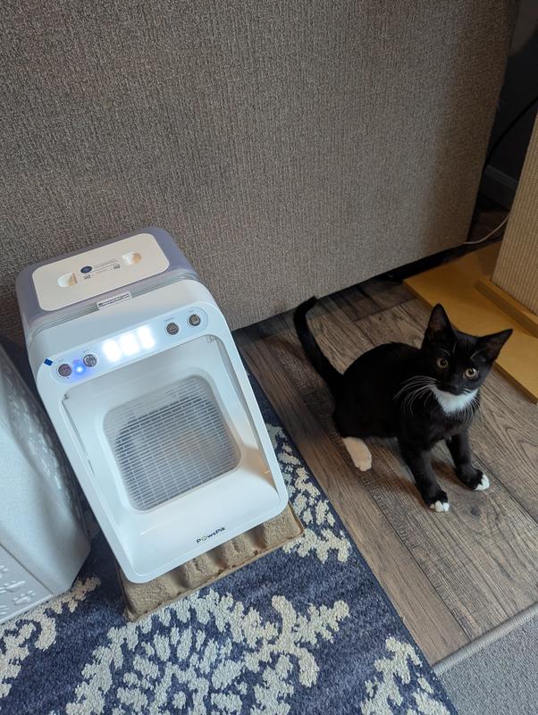 "Mother, what alien abomination is this??"