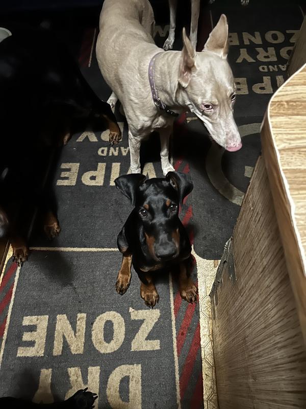 Ready for my second one mom