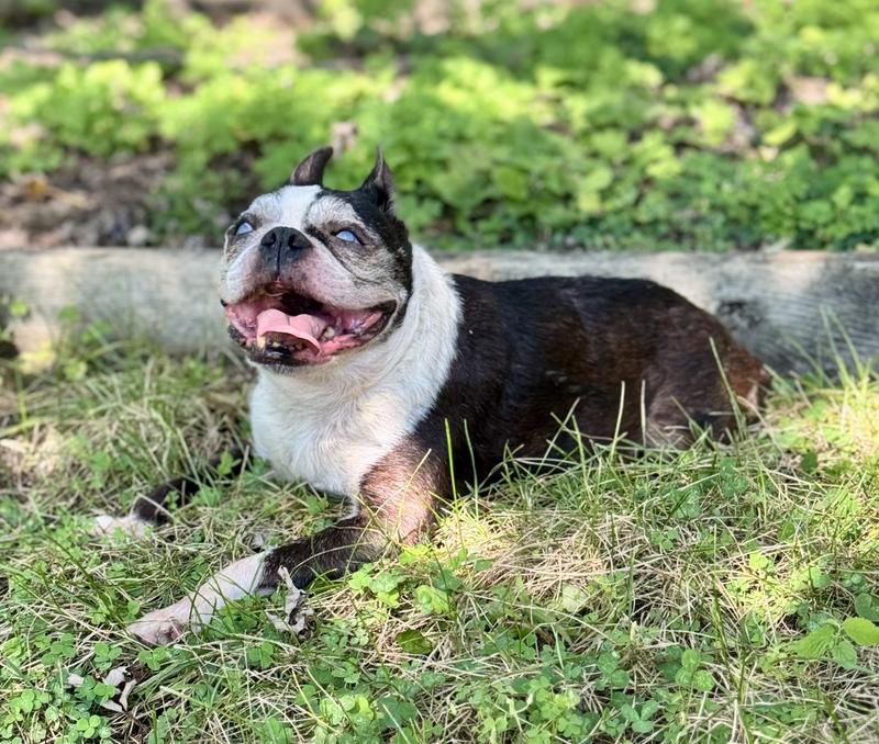 This is him, laughing at how much he’s made me spend on food he refuses to eat