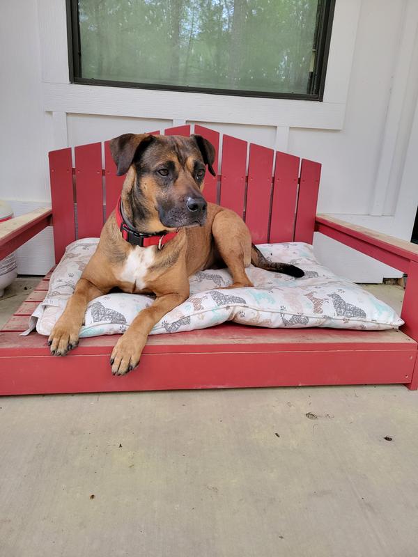 Jaxon devoured his immediately and I was unable to get a proper photo and now he stares longingly at his brother who still has his.