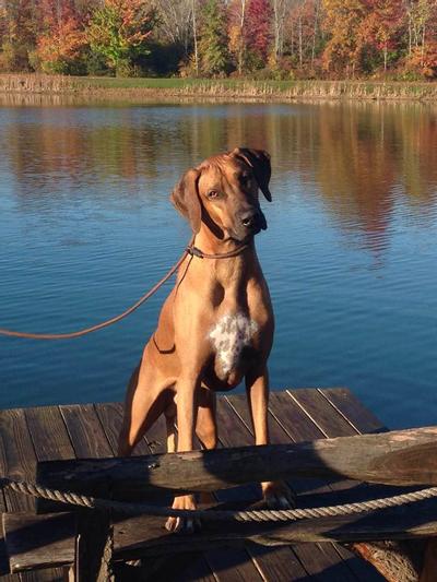 Kimber! My best friend