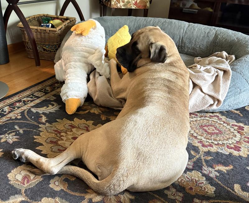 Loves her “babies”