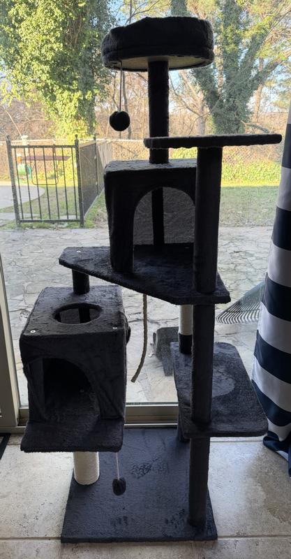 Maybe it will last a while.