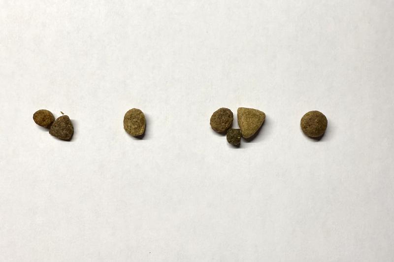 “Next” is the last pellet, other brands pellets range from mini to large breed.